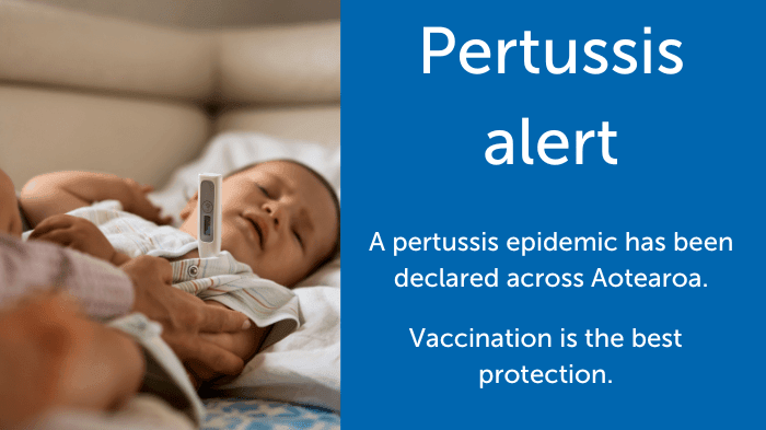 Pertussis (whooping cough) epidemic declared across Aotearoa
